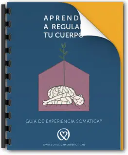 Imagen de la portada de un libro para la descarga de un eBook despues de suscribirse a la newsletter