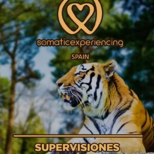 Imagen para la inscripción en una de las formaciones de Somatic Experiencing Spain que muestra la imagen de un tigre de Bengala como fondo y los datos de la promoción en texto