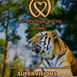 Image for registration in one of the Somatic Experiencing Spain training courses showing the image of a Bengal tiger as a background and the promotion details in text.
