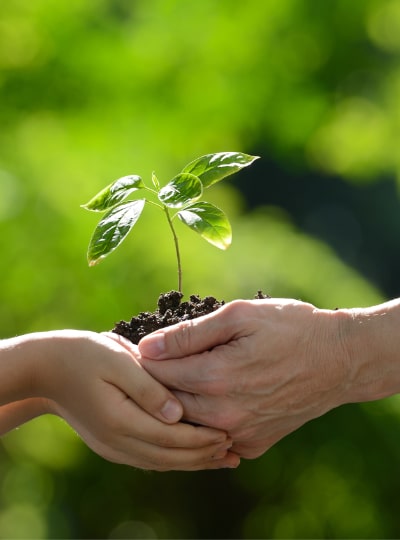 voluntariado-social-somatic-experiencing