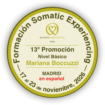 https://somatic-experiencing-spain.es/wp-content/uploads/2026/04/banner-13-promo-nov-26-absoluto.png