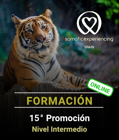 15th Cohort – Intermediate Level (Online) (copia)
