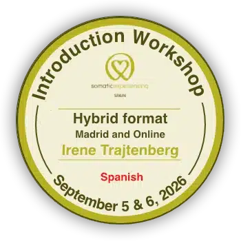 https://somatic-experiencing-spain.es/wp-content/uploads/2026/08/banner-introductorio-sept-26-EN-absoluto-1.webp
