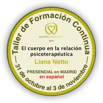 https://somatic-experiencing-spain.es/wp-content/uploads/2026/09/banner-continuada-oct-26-absoluto.webp